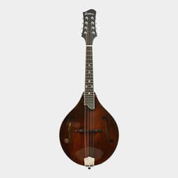Mandolins