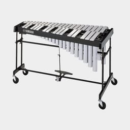 Mallet Percussion