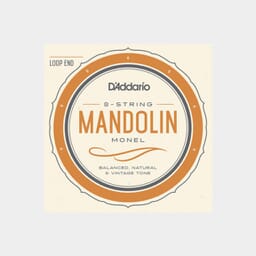 Mandolin Strings
