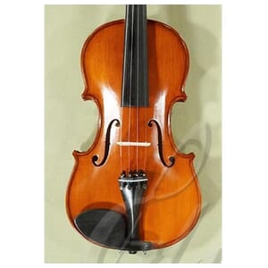 Gliga Gems I 4/4 Violin Outfit