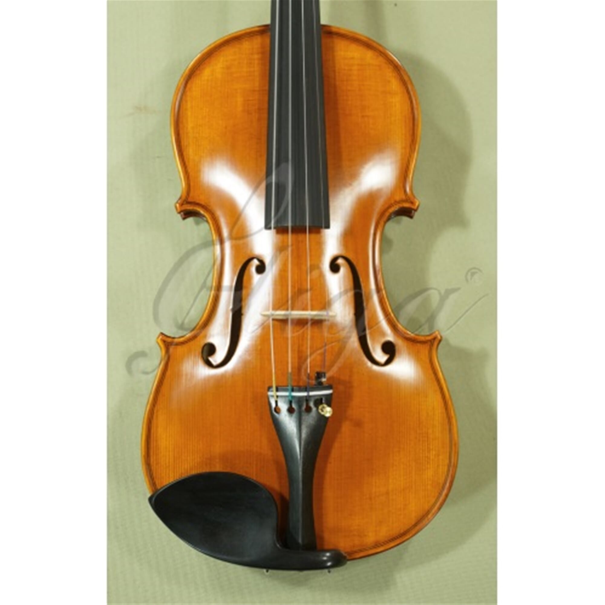 Gliga Gama 4/4 Advanced Violin Outfit - Used