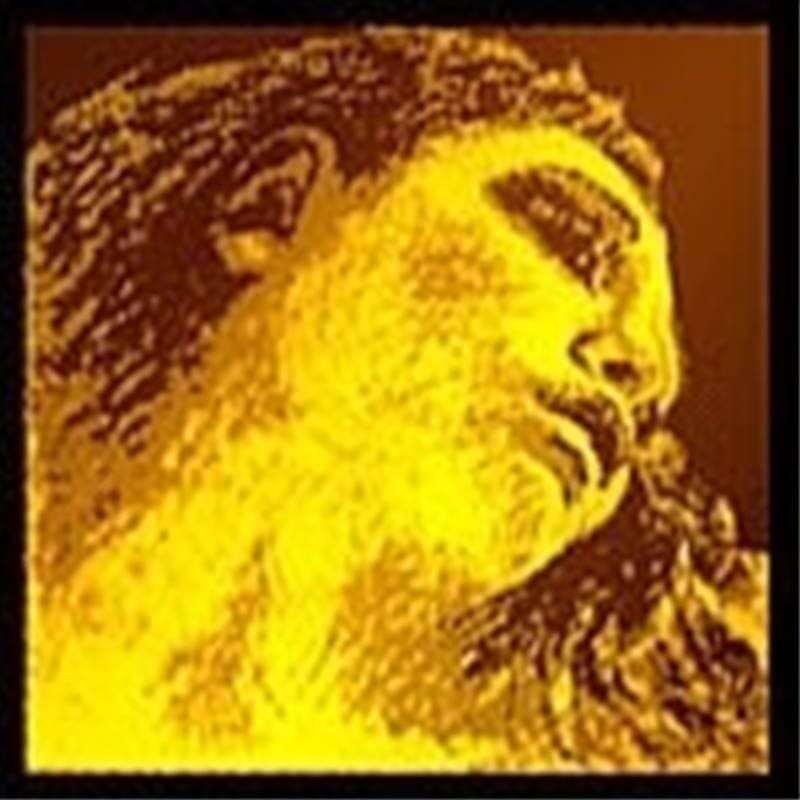 Evah Pirazzi Gold 4/4 Violin E String