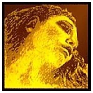 Evah Pirazzi Gold 4/4 Violin E String (Ball End)