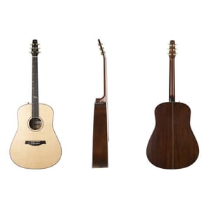 Seagull Artist Mosaic Anthem EQ Acoustic Guitar w/Bag