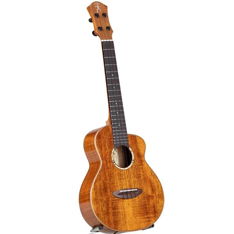 aNueNue UC1K Koa Bird Series Concert Ukulele