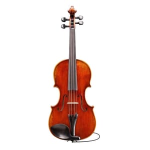 Eastman VL7015+ Rudoulf Doetsch Acoustic Electric 5 String Violin Outfit