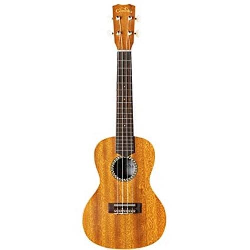 Cordoba 20CM Concert Ukulele - Open Box
