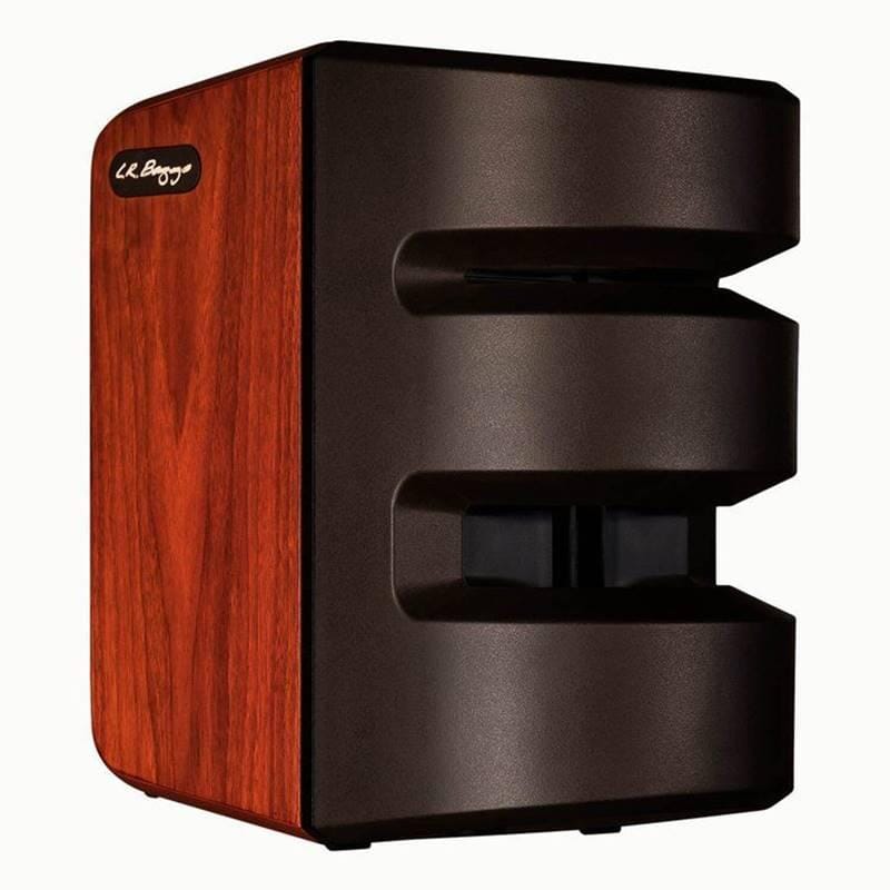 LR Baggs Synapse Personal PA System