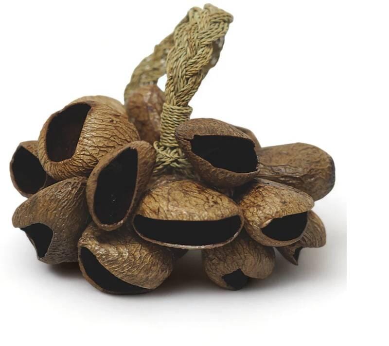 GM Pangi Kenari Seed Shaker