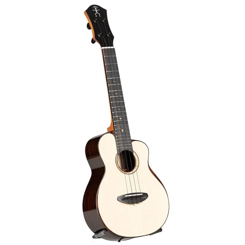 aNueNue UC200 Moon Spruce Hummingbird Concert Ukulele
