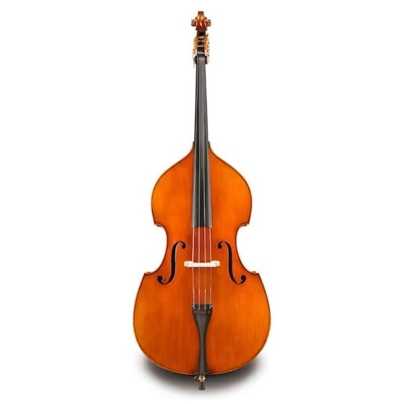 Eastman VB928 Raul Emiliani Double Bass Outfit