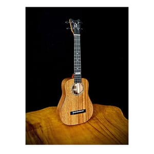 Romero RC-TTDP Tenor Dreadnaught Ukulele Phoenix Wood W/Case