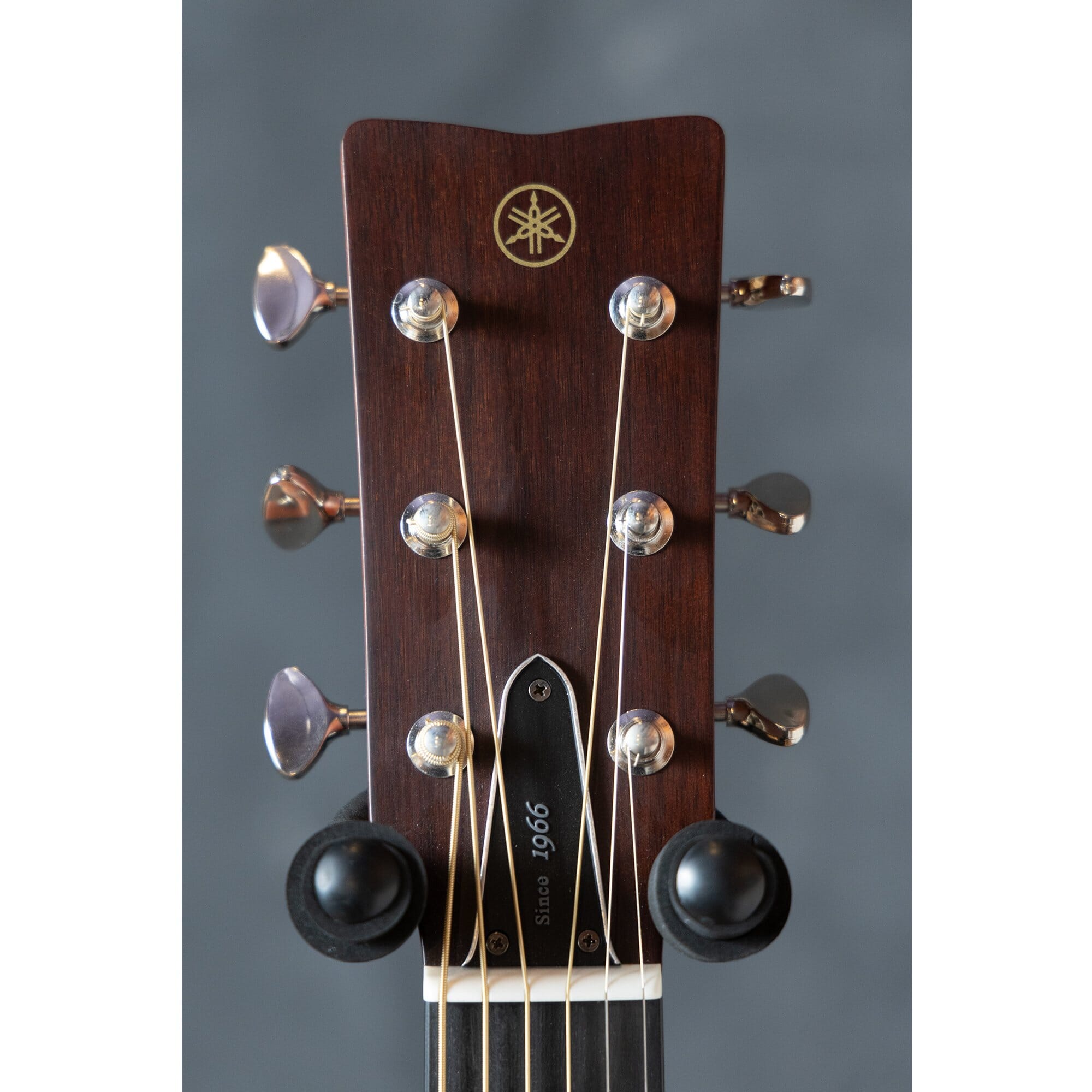 Yamaha FG3 Red Label Acoustic Guitar | Tapestry Music