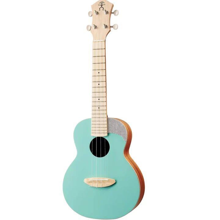 aNueNue UC10-IG Ice Green Solid Top Concert Ukulele