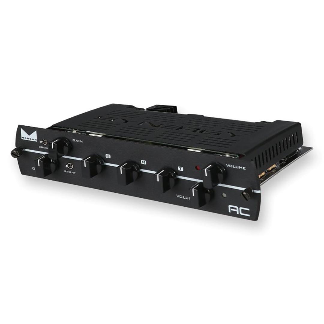 Synergy Morgan AC Dual Channel Preamp Module
