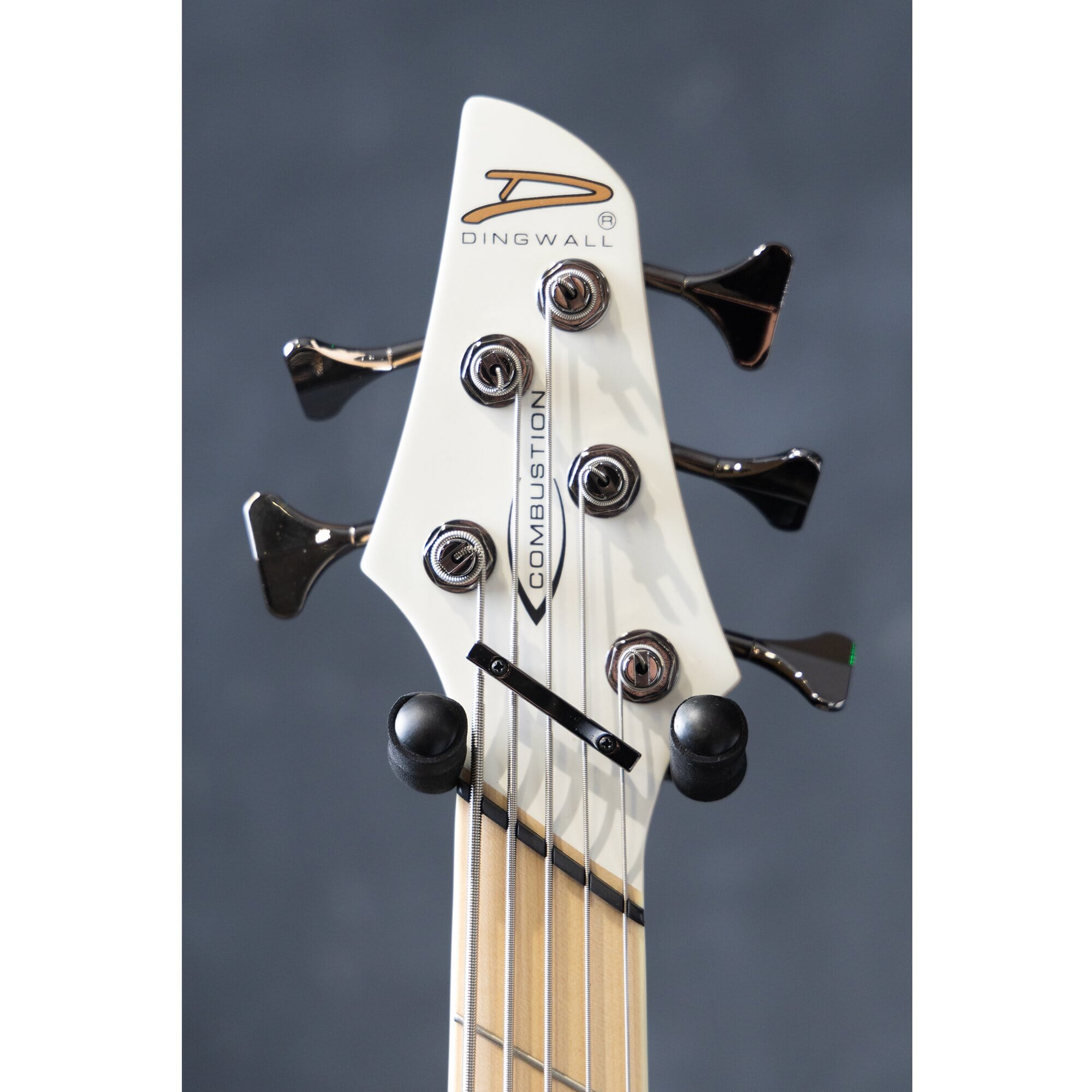 Dingwall NG3 Nolly Getgood Signature Combustion - 5 String