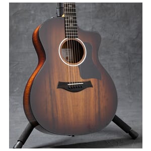 Taylor 362ce 12-String Mahogany Acoustic Electric Guitar w/Case - Shaded Edgeburst