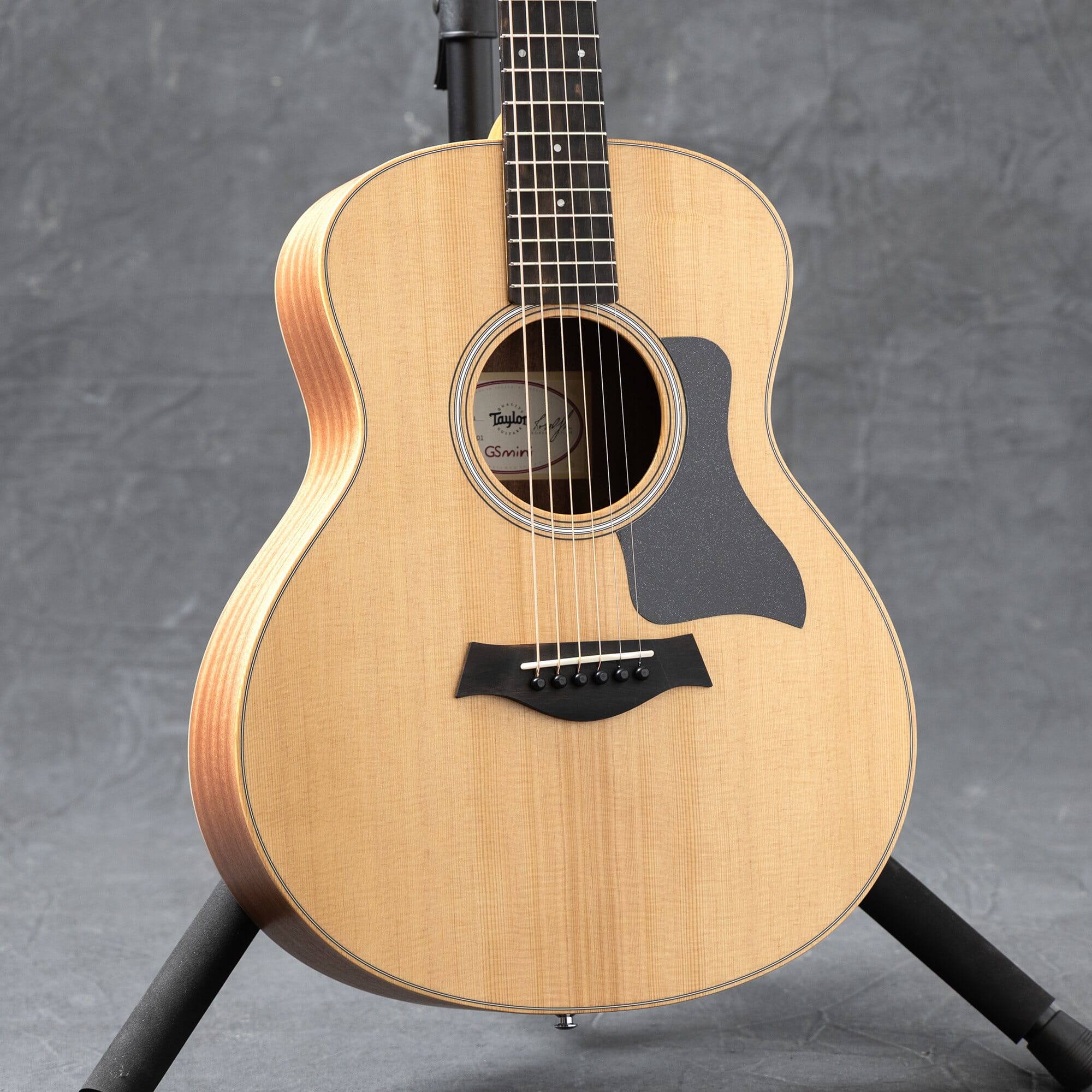 Taylor GS Mini Sapele Acoustic Guitar with Gig Bag