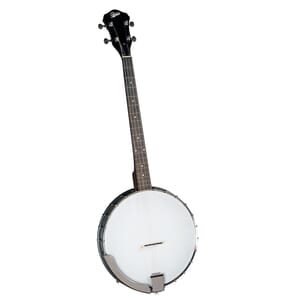 Rover RB-20T Student 4-String Openback Tenor Banjo