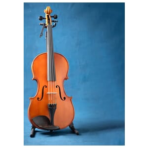 Octave Violin (1 octave lower)