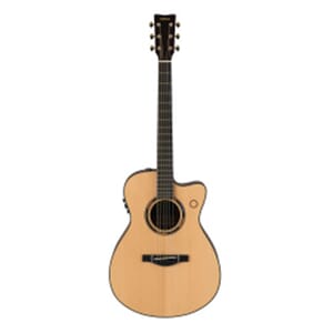Yamaha TAS3C NT