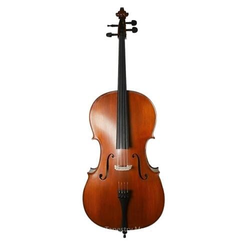Gliga Genial I 3/4 Cello Outfit USED