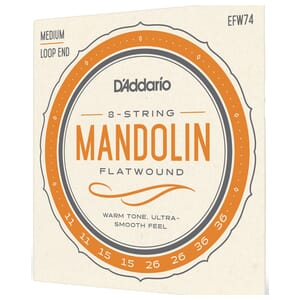 D'Addario EFW74 Flatwound Mandolin Strings, Stainless Steel, Medium, 11-36