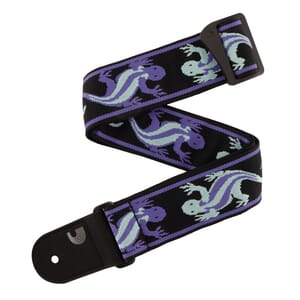 D'Addario 50PW02 Vintage Planet Waves Lizards, Green/Blue
