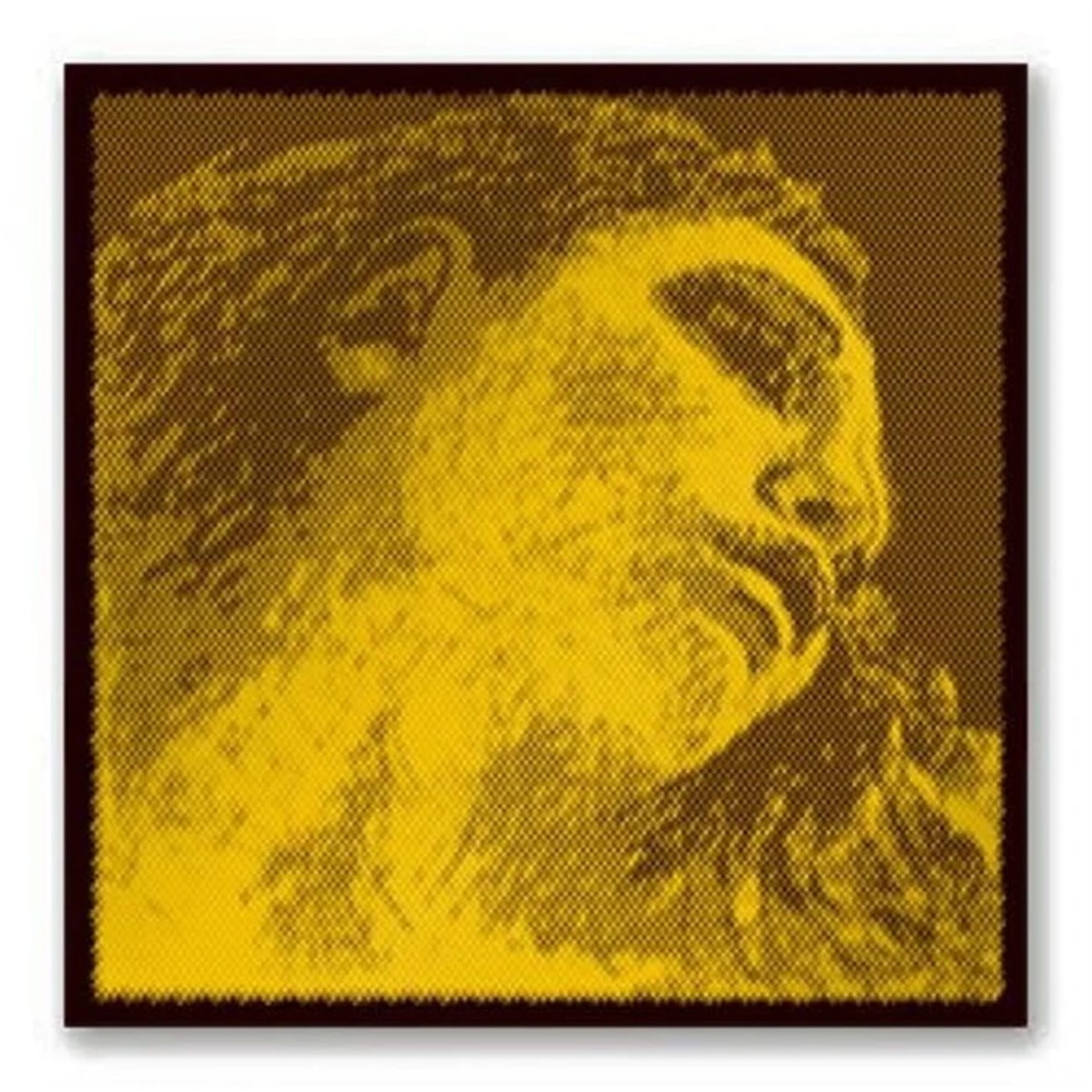 Evah Pirazzi Gold 4/4 Violin G String