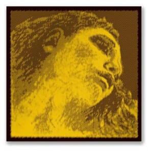Evah Pirazzi Gold 4/4 Violin G String
