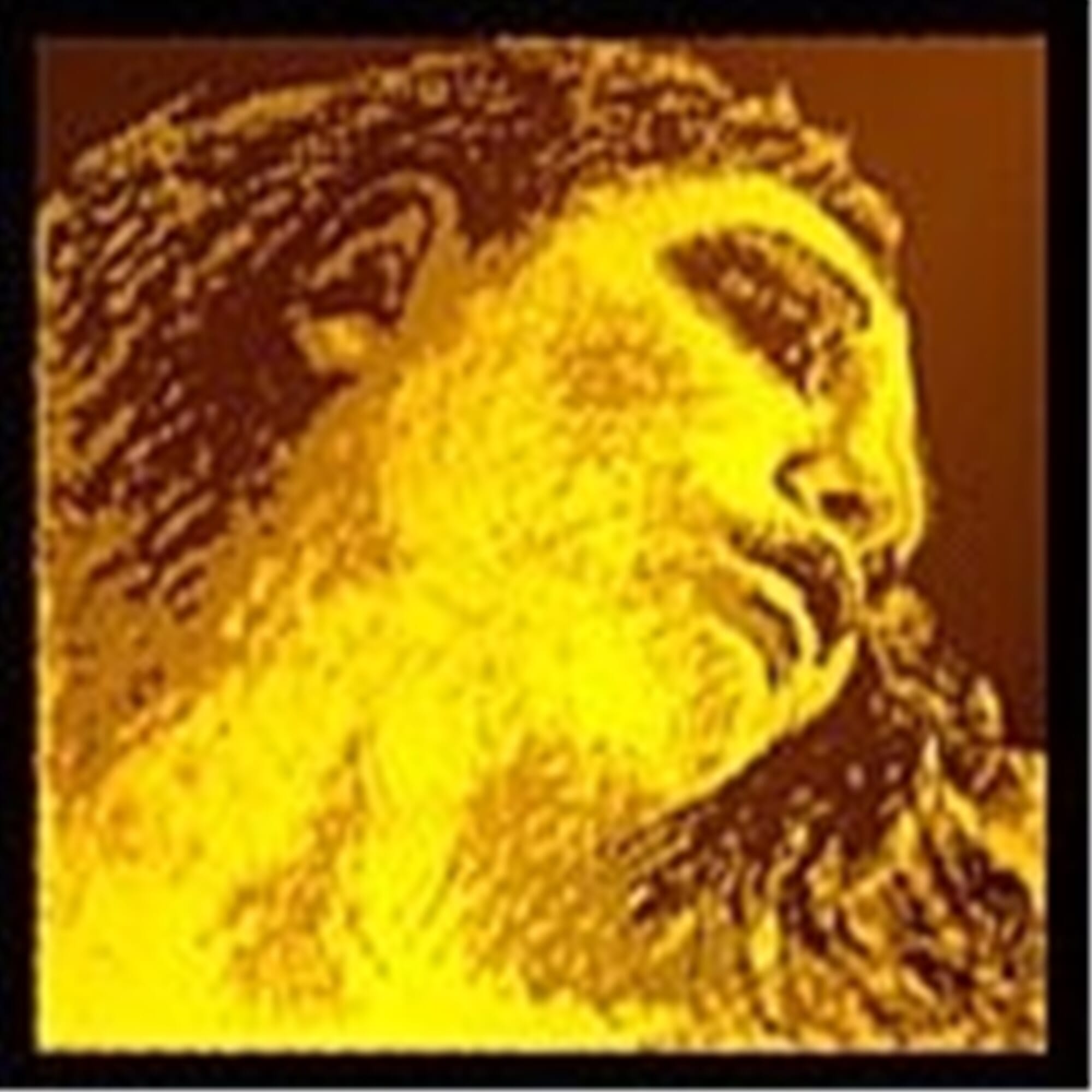 Evah Pirazzi Gold Violin Strings - Silver D Single String