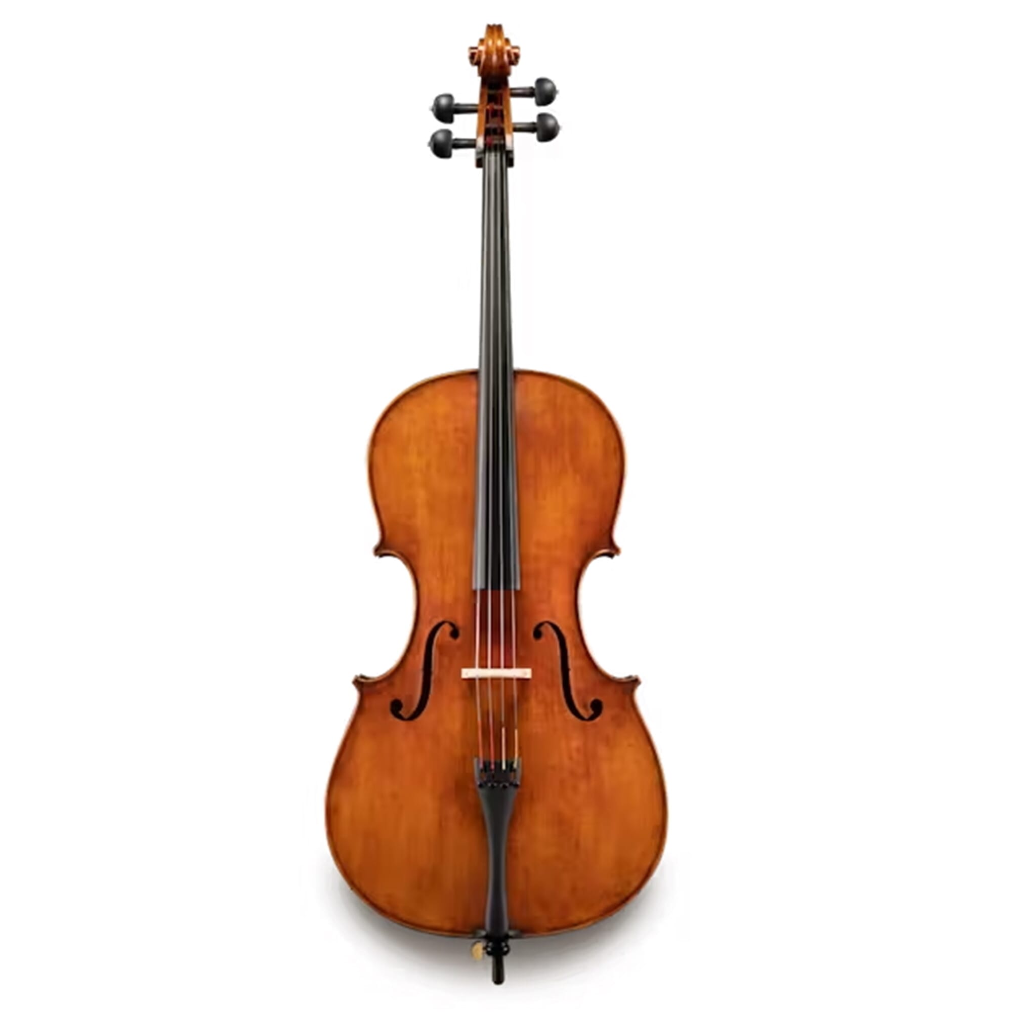 Eastman 30th Anniversary 830 Poplar 4/4 Cello