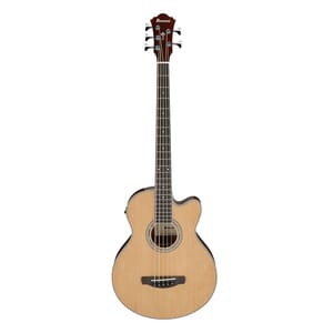 Ibanez AEB105E 5 String Electric Acoustic Bass