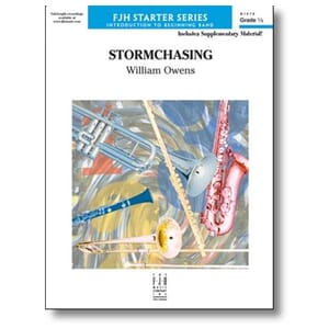 Stormchasing by William Owens