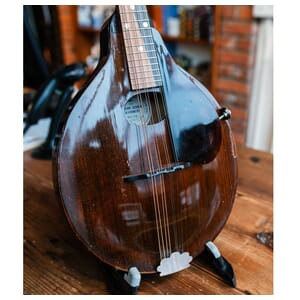 Gibson A-Jnr Mandolin (Consignment)