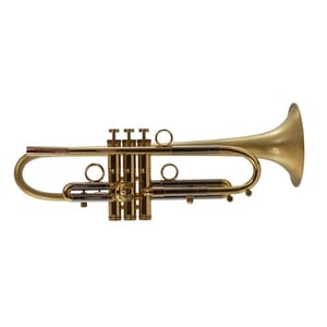 Taylor Piranha Trumpet & Case - Lacquer