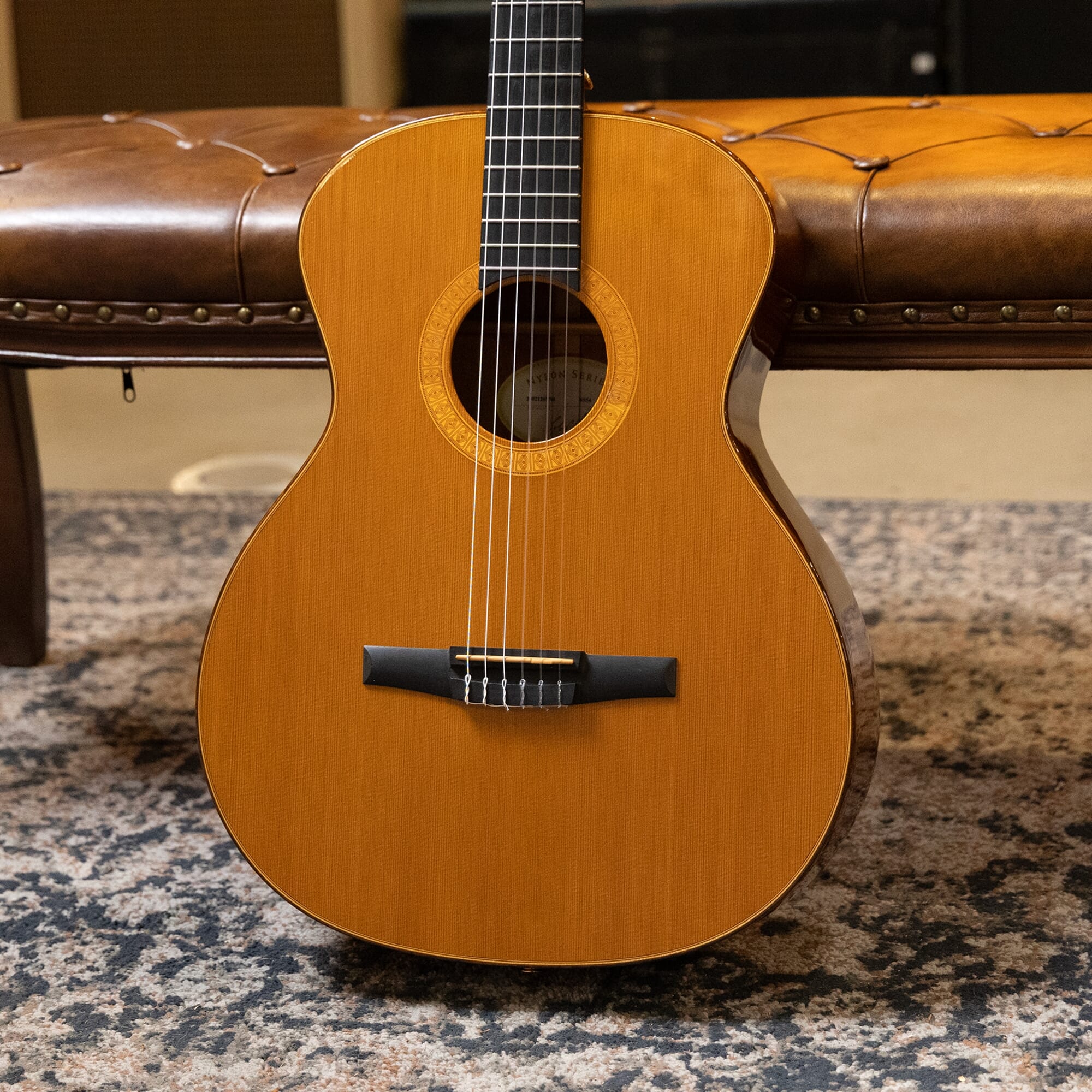 Taylor NS54 Nylon String (Used)