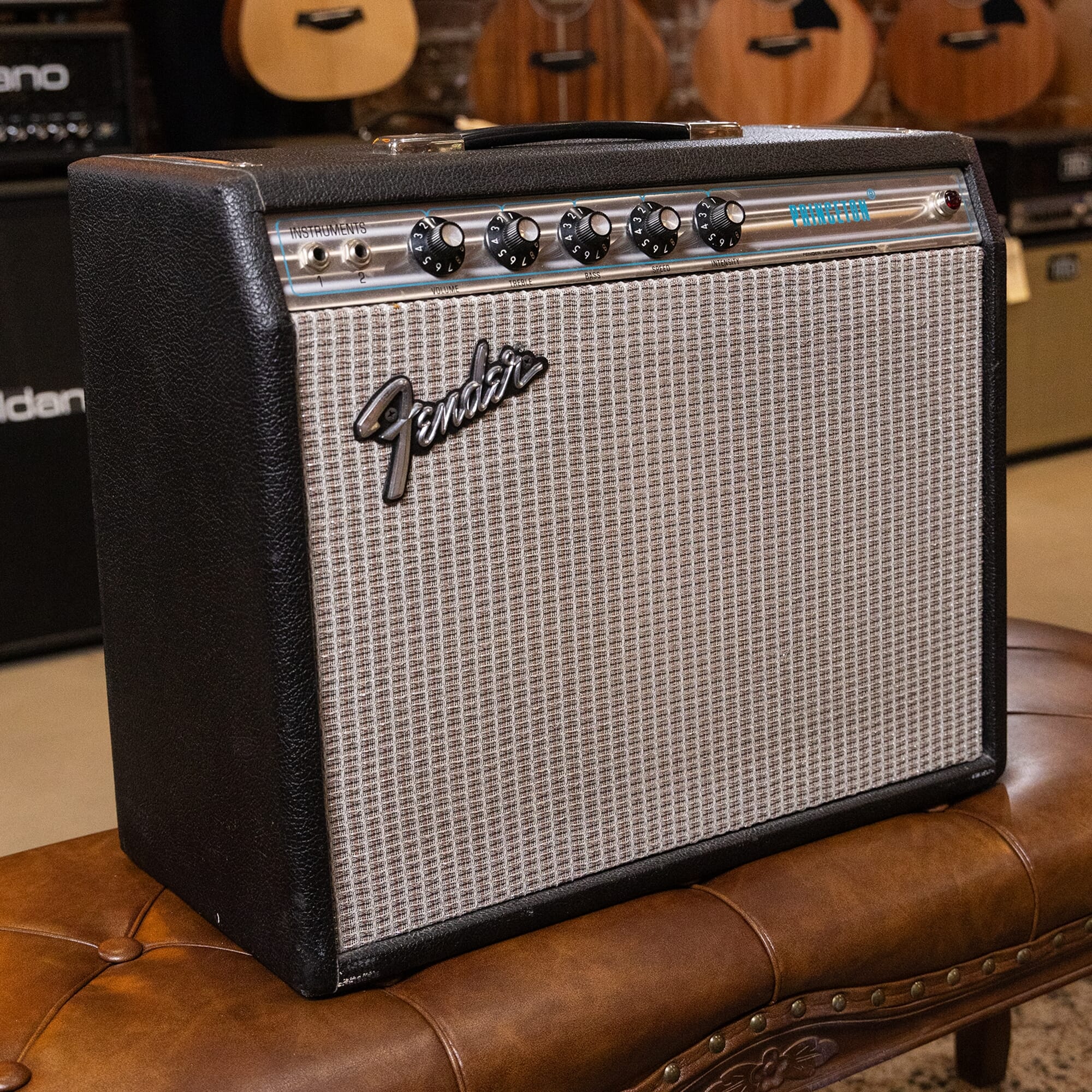 Fender 1973 Princeton (Vintage)