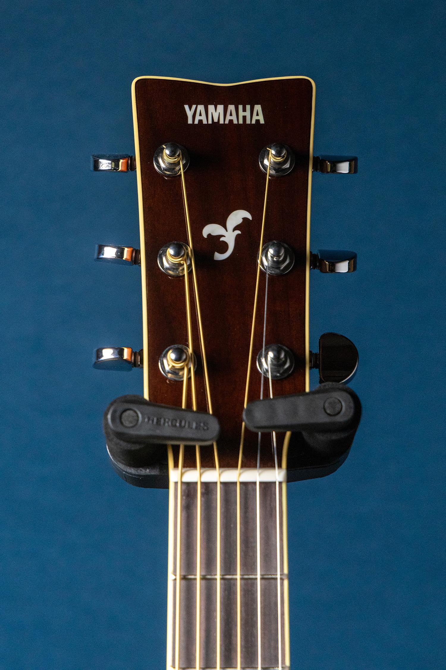 Yamaha FS830 Acoustic Folk Guitar | Tapestry Music