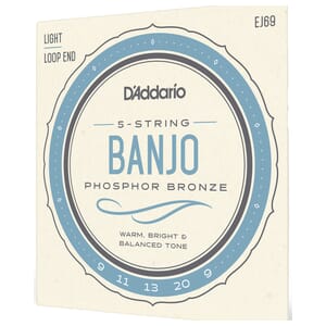 EJ69 D'addario Banjo 5 String Set Bronze 9-20