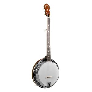 Gold Tone BG-250FW Bluegrass Banjo with Brass Tone Ring