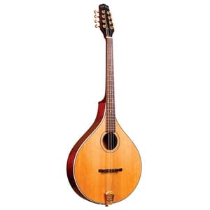 Gold Tone OM-800+ Octave Mandolin