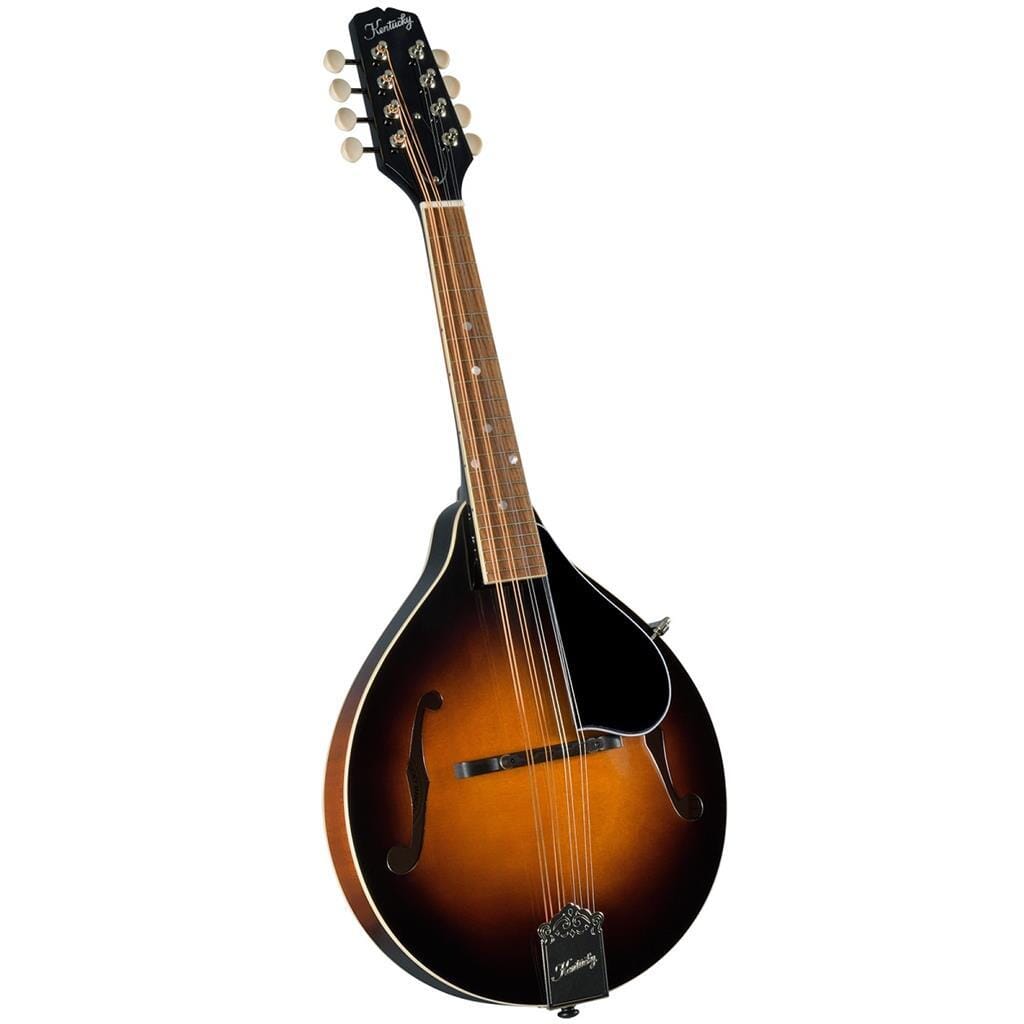 Nechita、Mandolin Soul ＆ Bleu Cheese Mandolins - Janzen Brothers Music Company
