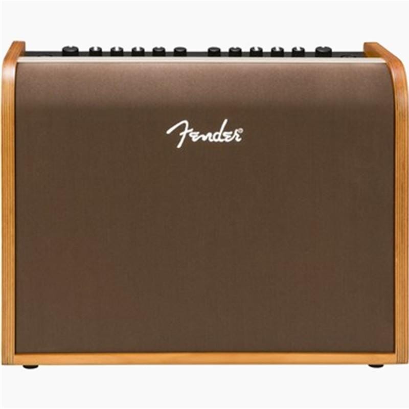 Fender Acoustic 100 Guitar Amplifier