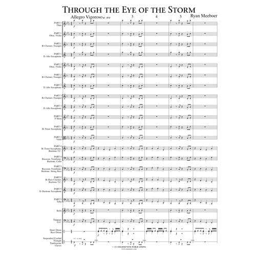 Through the Eye of the Storm by Ryan Meeboer