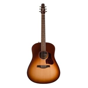 Seagull Entourage Acoustic Guitar