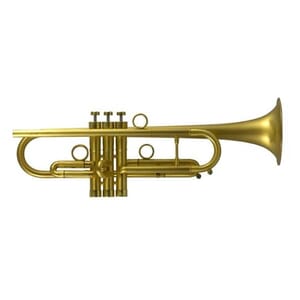 John Packer Taylor Pro Trumpet - Satin